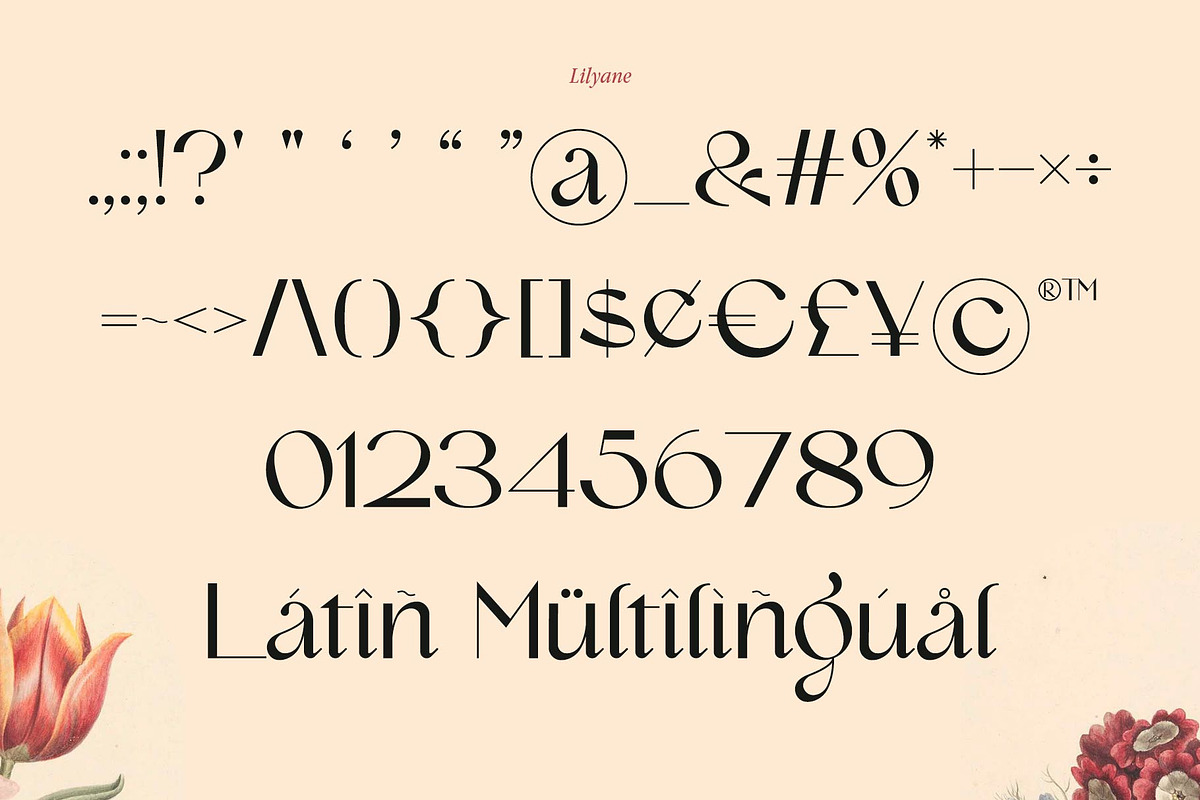 Lilyane - A Lovely Font, a Serif Font by StudioinBry (Photo 11 of 12)