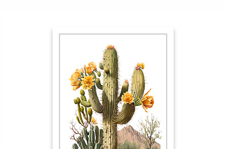 Cactus SVG, Cactus Decor, Cactus SVG
