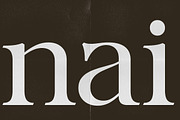 Tanflisc Essence | 12 Fonts, a Serif Font by Pista Mova (Thumbnail 19 of 20)