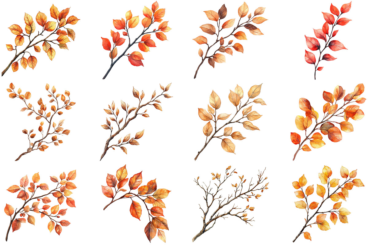 Botanical Fall Branches Clipart, an Illustration by Pixels.Craft (Photo 3 of 5)