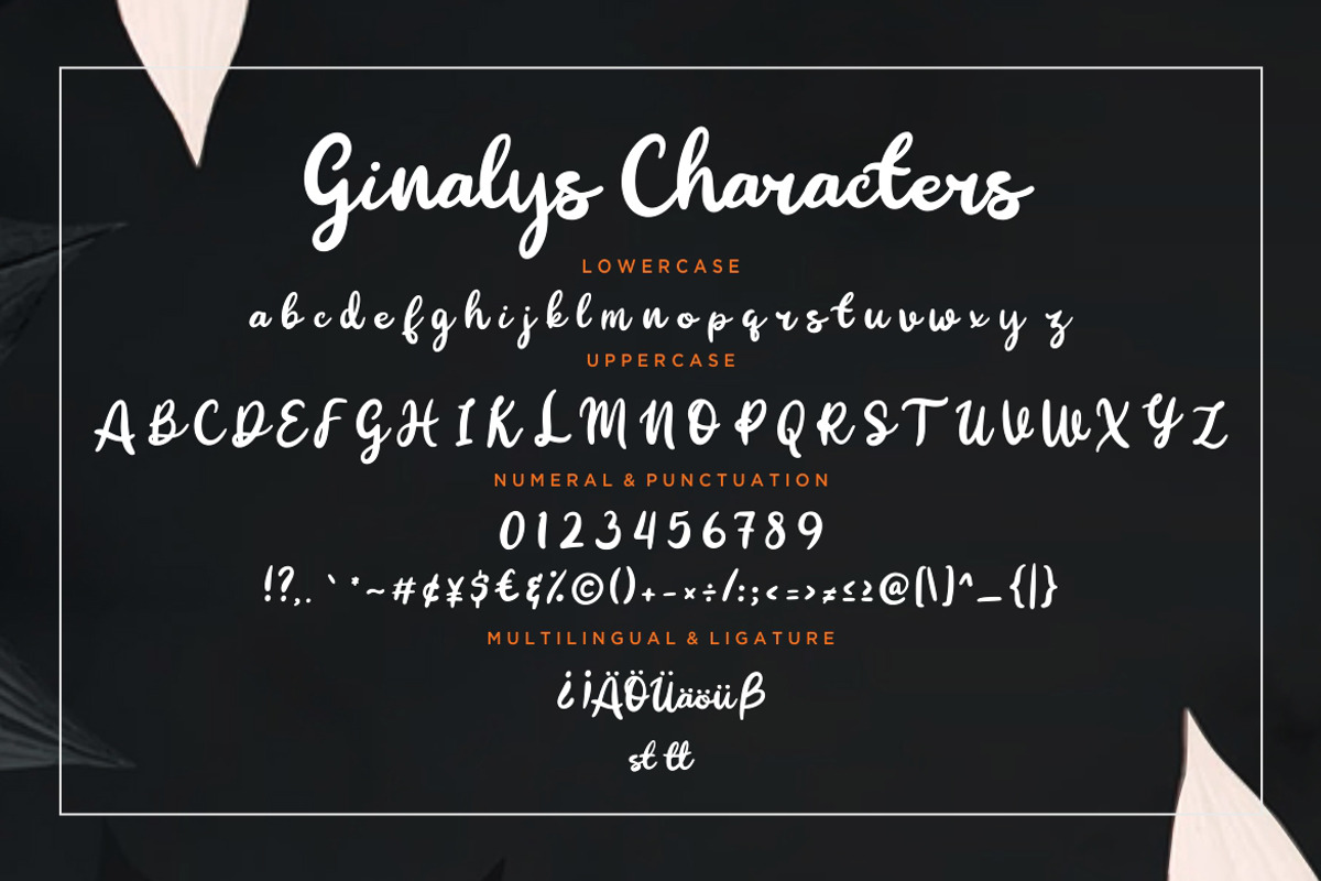 Ginalys Bold Brush Instagram preview 7