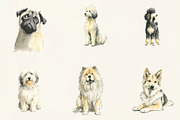 Watercolor Dogs Clipart, an Illustration by DreamCafeArt (Thumbnail 4 of 6)