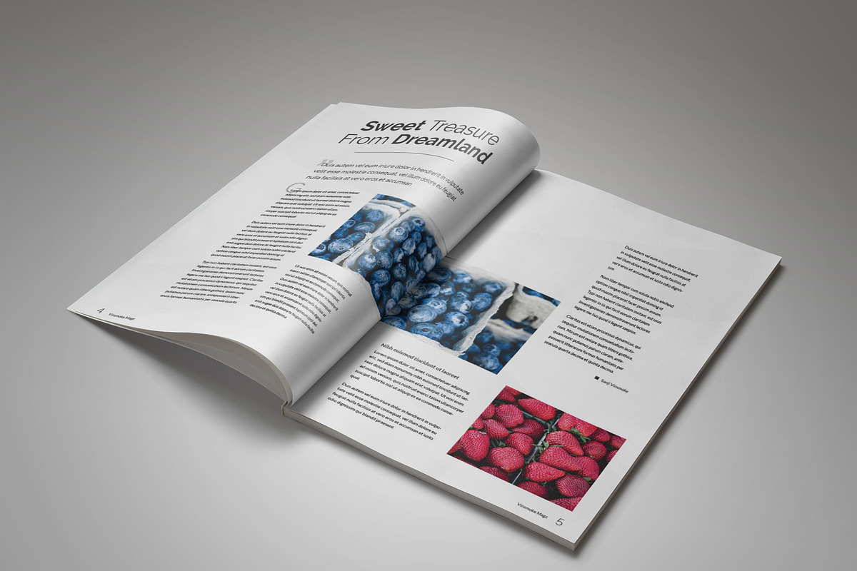 Vinsmoke Magazine, a Magazine Template by Bokuto (Photo 4 of 9)