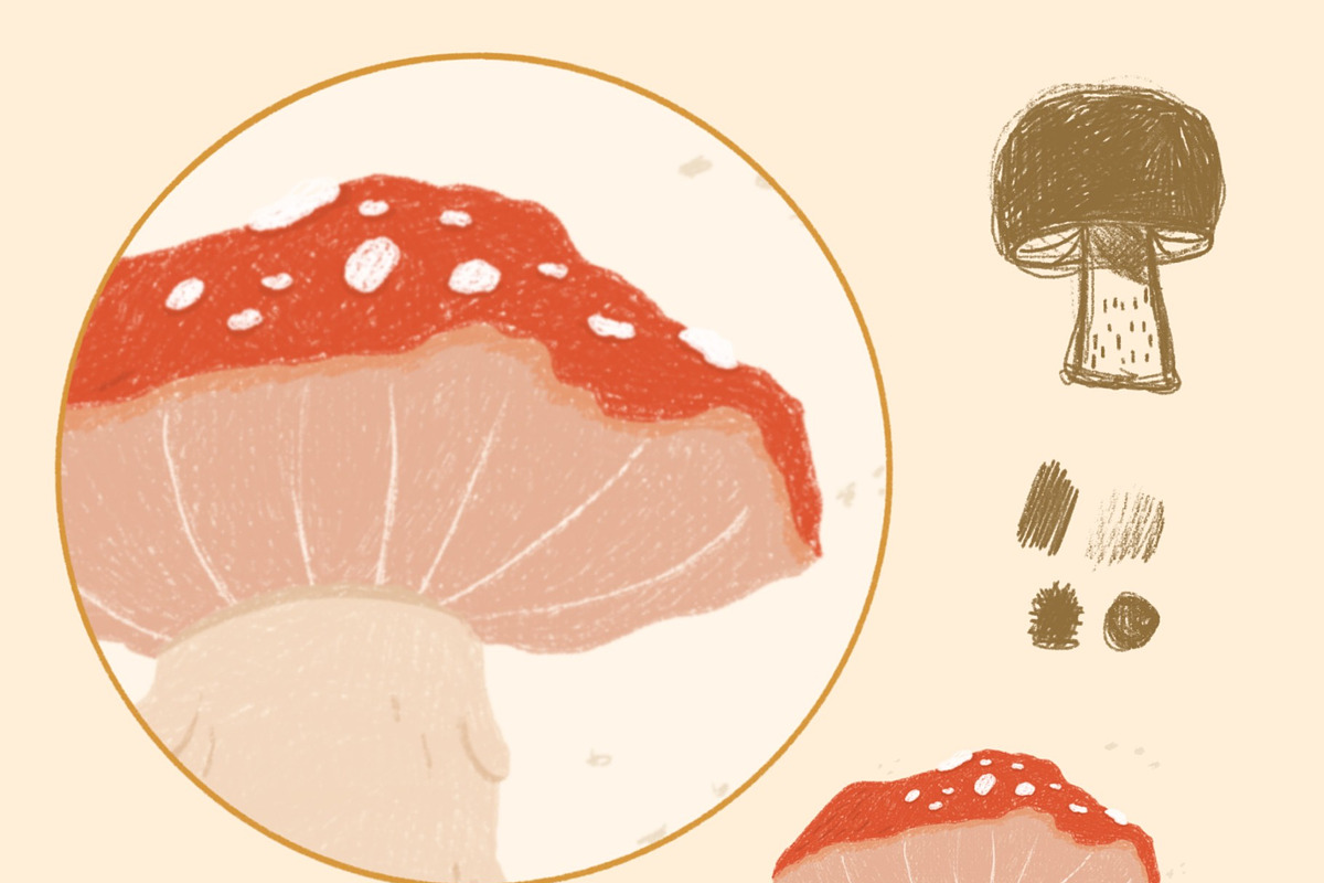 Sketchbook Brush Set for Procreate, a Brush Add-On by Sometimes Crafter Studio (Photo 6 of 17)