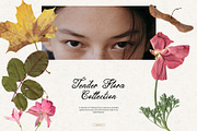 Tender Flora: Botanical Scrapbook, an Object Graphic by Feelsoul (Thumbnail 1 of 10)