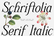 Schriftolia — Elegant Serif Italic, a Serif Font by Invasi Studio (Thumbnail 1 of 12)