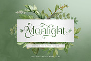 The Moot Jungle Nature Typeface, a Serif Font by alit design (Thumbnail 10 of 15)