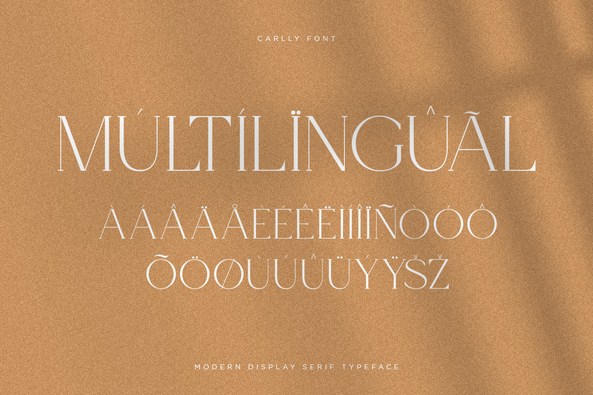 Carlly | Modern Elegant, a Serif Font by Pentagonistudio (Photo 9 of 10)