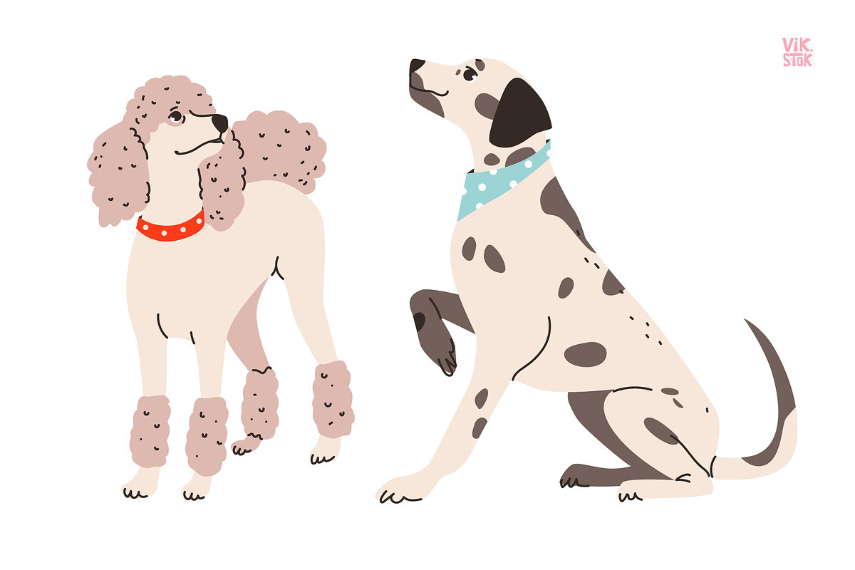 Cute dogs of different breeds set, an Animal Illustration by vik.stock (Photo 5 of 11)