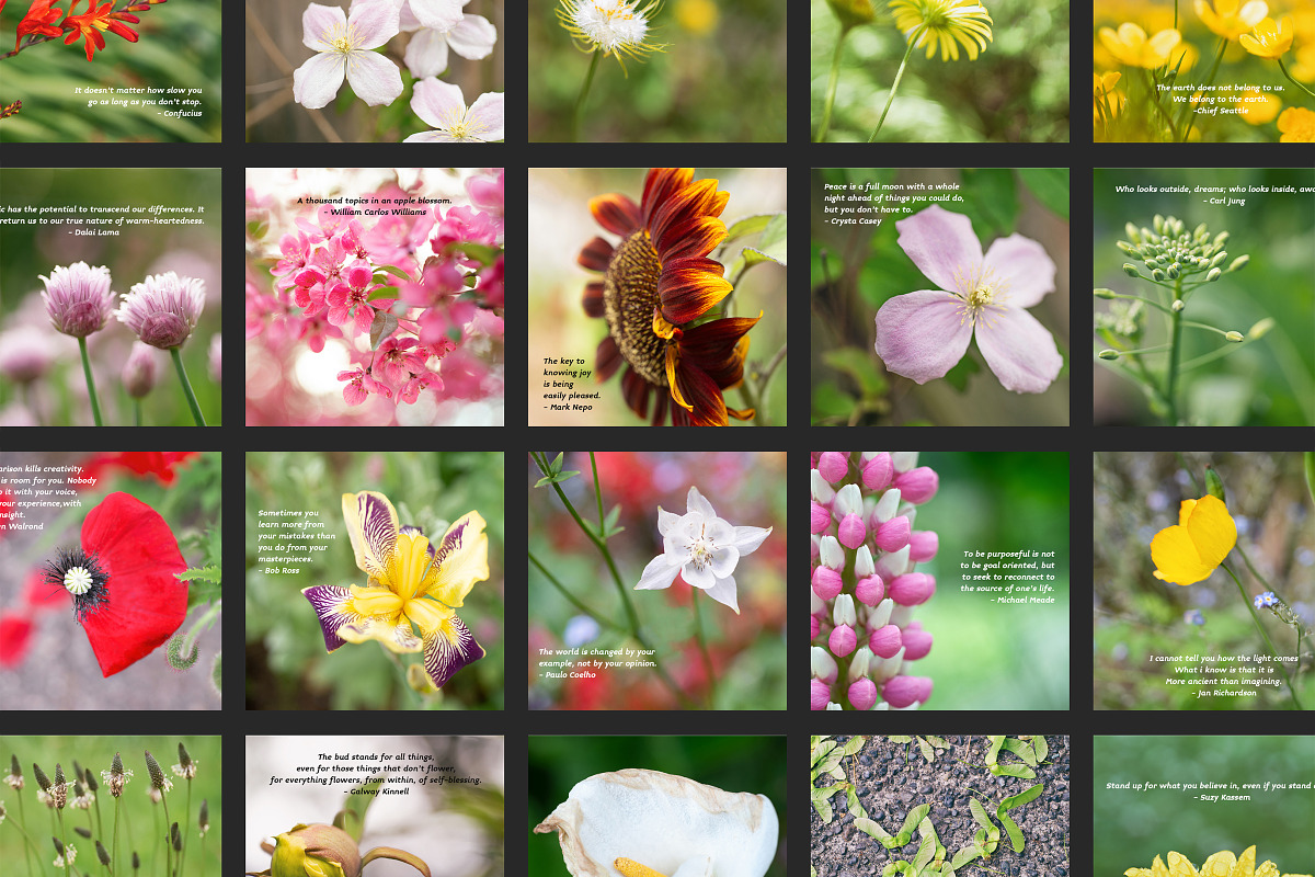 Flower Therapy Instagram Posts, a Social Media Template by minersgold (Photo 6 of 7)