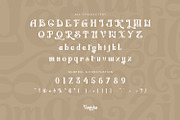 Vanisha - Modern Serif Display, a Serif Font by Koplexs Studio (Thumbnail 9 of 11)