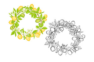 Lemon Tree Branch With Lemons Set