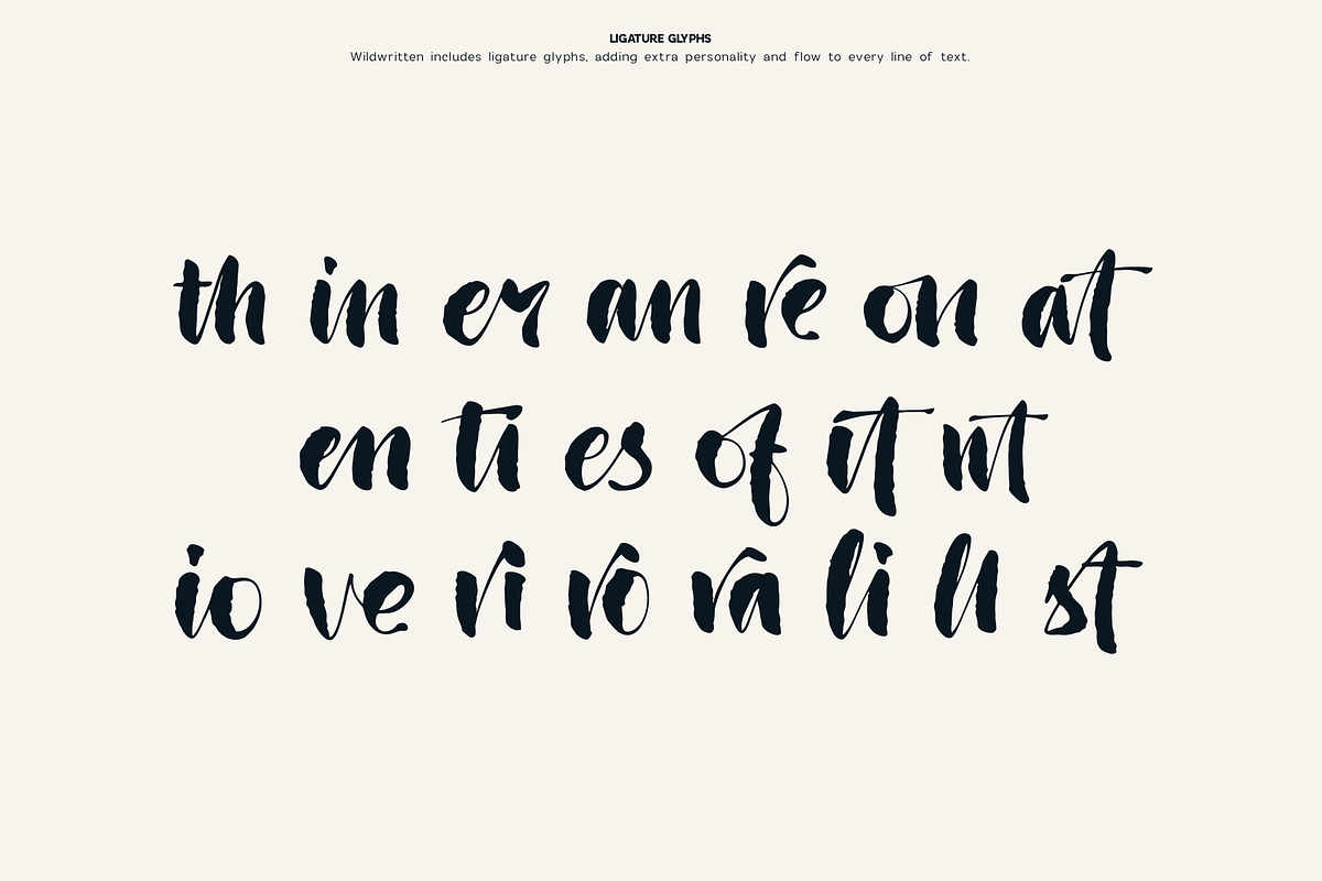Wildwritten - Handwritten Script, a Script Font by Only Fonts (Photo 8 of 15)
