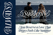 Miogina Typeface, a Serif Font by alit design (Thumbnail 4 of 17)