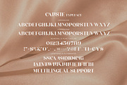 Caliste - Stylish Serif Font, a Serif Font by Aqeel_Art (Thumbnail 9 of 10)