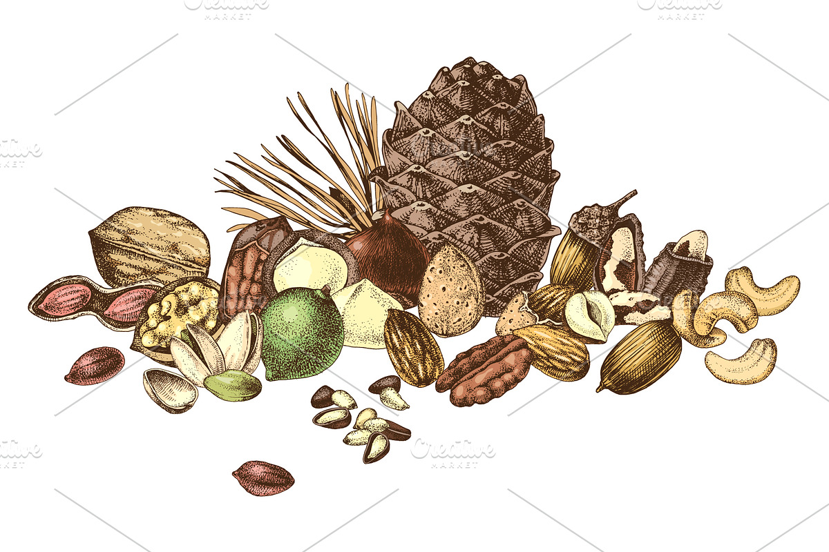 Hard nut graphic design set, a Food Illustration by handsketched (Photo 6 of 18)