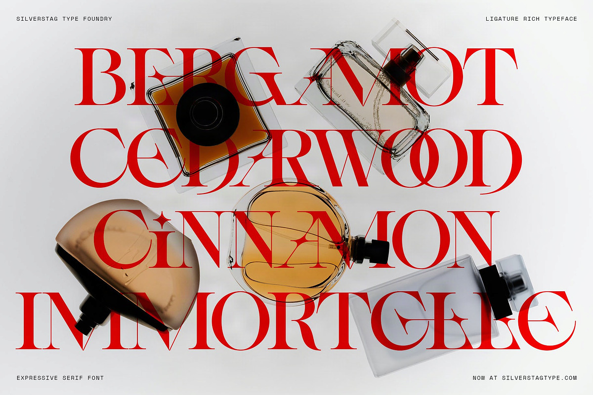 Spanish Archer - Ligature-Rich Font, a Serif Font by SilverStag Type Foundry (Photo 6 of 19)