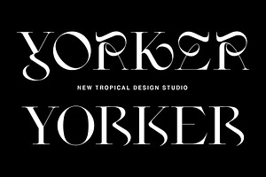 Yorker - Experimental Serif Typeface