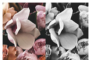 Bundle 150+ Lightroom Presets, a Preset Add-On by Daily Studio (Thumbnail 3 of 10)