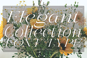 Galdertin Charetam | 141 Font Style, a Serif Font by IM Studio (Thumbnail 3 of 12)