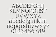 Cirvia Timeless & Fresh Serif Family, a Serif Font by Lettertype Studio (Thumbnail 9 of 15)