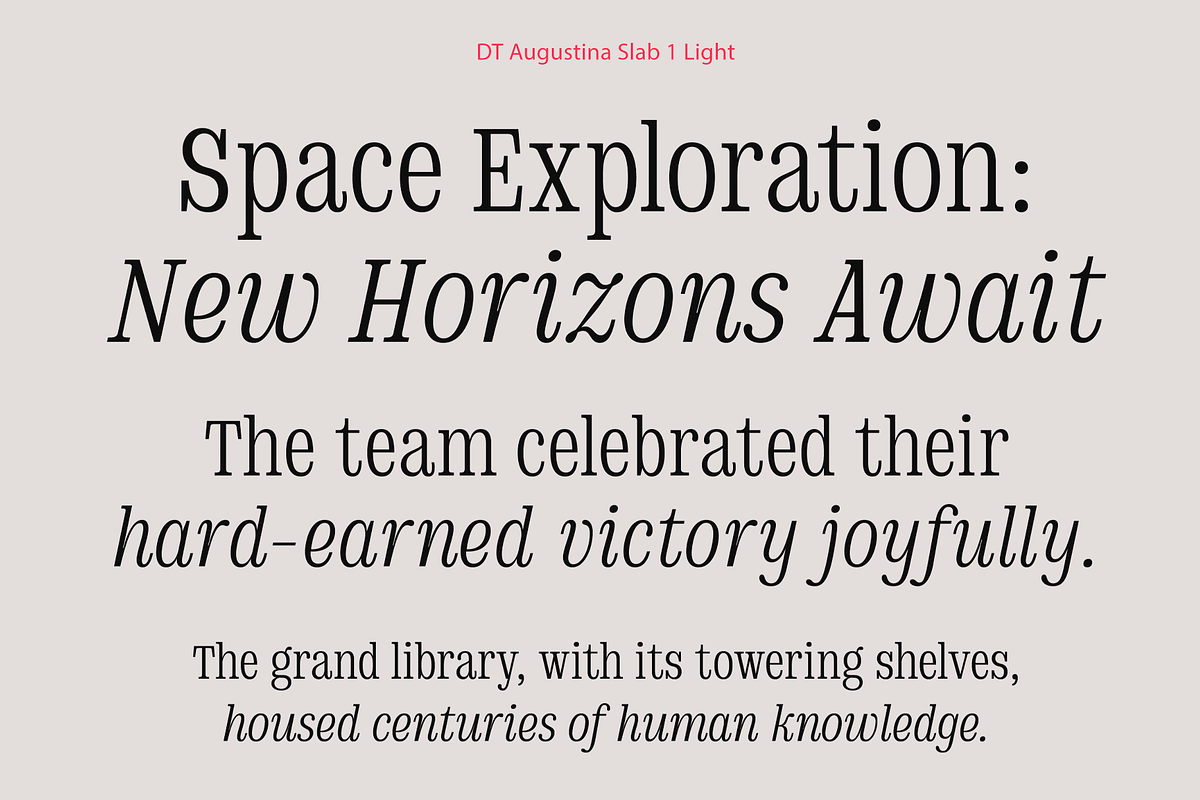 DT Augustina Slab 1 Subfamily, a Slab Serif Font by Deveze Type Foundry (Photo 6 of 31)