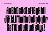 Nichol - Condensed Font, a Sans Serif Font by limitype (Thumbnail 10 of 12)