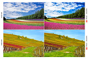 HDR Landscape Lightroom Presets, an Action Add-On by Effect-Hub (Thumbnail 4 of 13)
