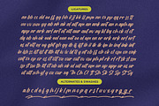 Theglory Skemaro Bold Handwritten, a Script Font by Letterena Studios Script (Thumbnail 19 of 20)