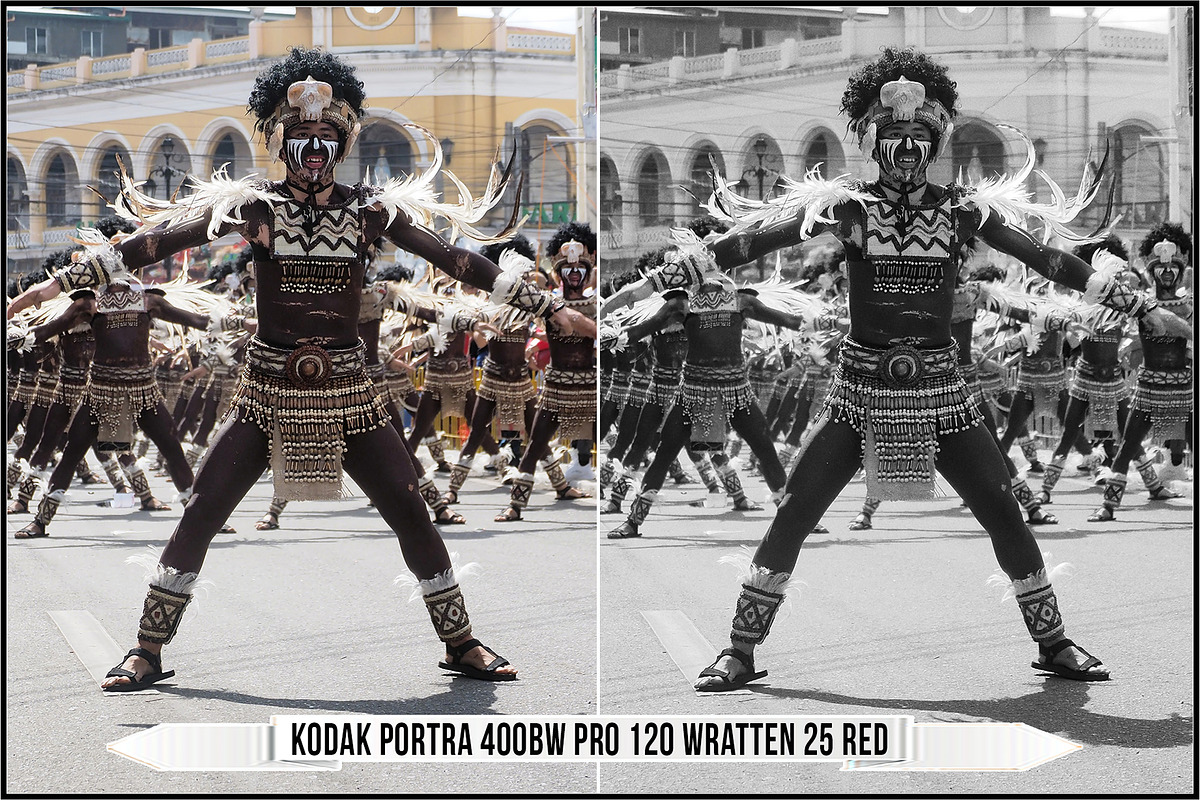 Eastman Kodak Black and White Films, a Plug-in Add-On by Raztrend (Photo 15 of 30)
