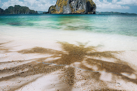 Palms shadows on tropical Las, a Nature Photo by Igor Tichonow
