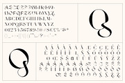 Yorker - Experimental Serif Typeface, a Serif Font by Tropical Type (Thumbnail 12 of 13)
