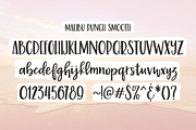 Scripts Font Bundle, 8 fonts, a Script Font by Rachel White Art (Thumbnail 3 of 17)