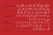 Velmira - Signature Script Typeface, a Font by Indotype Foundry (Thumbnail 4 of 10)