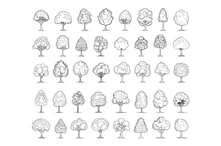 Minimal Style Tree Line Drawing, an Object Illustration by LadadikArt