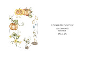 Watercolor Plant Life Cycle, an Education Illustration by MayaNavits (Thumbnail 13 of 17)