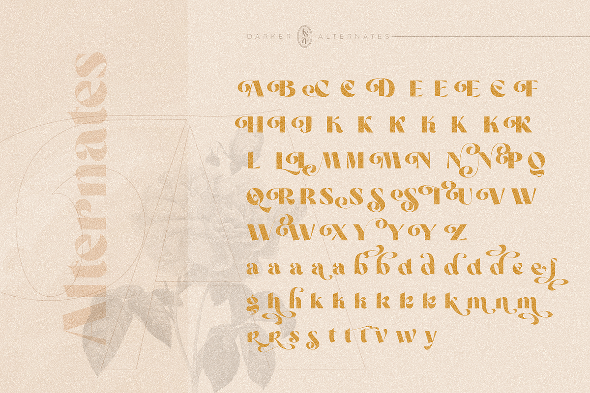 Darker Sans Serif + Extras, a Sans Serif Font by 1871 Project (Photo 5 of 12)