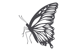 Butterfly, Vector Set.