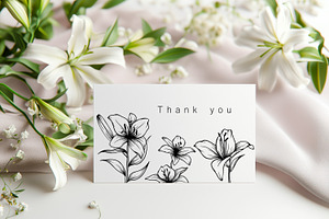 Lily Flowers Line Art SVG