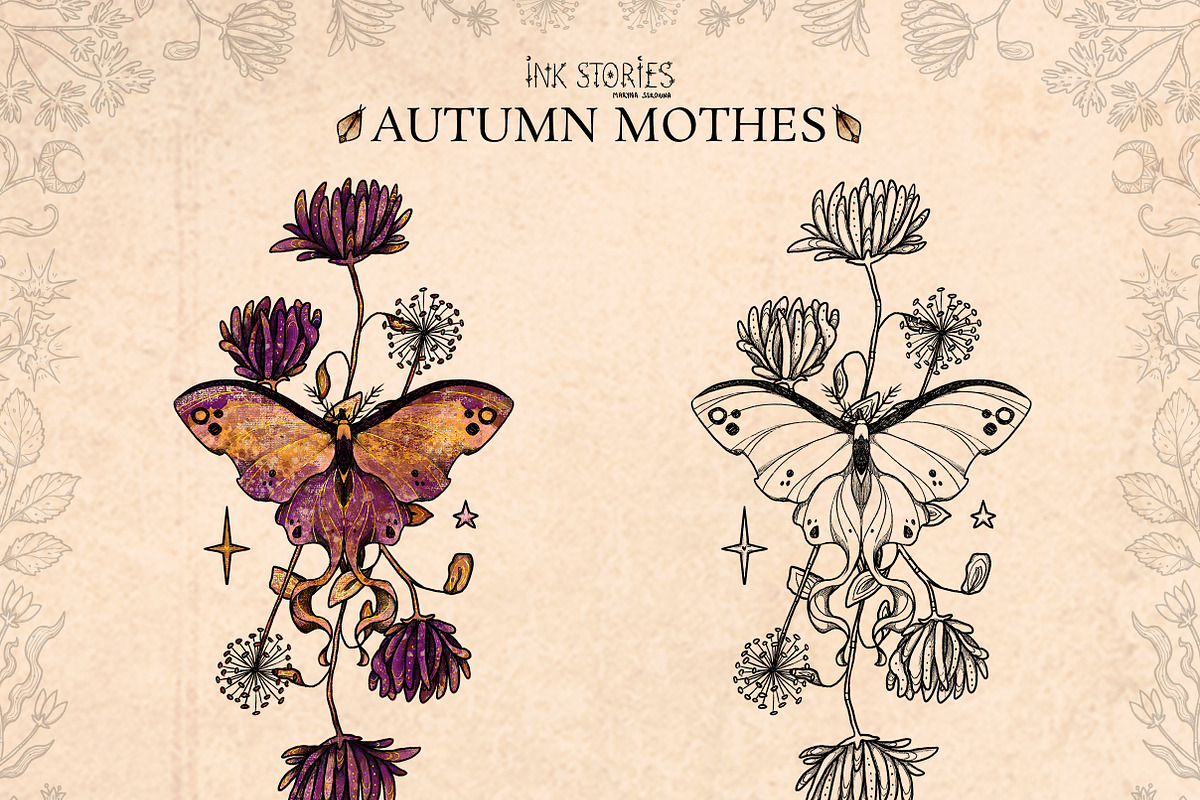 Autumn Moths & Dried Botanicals, an Animal Illustration by Ink Stories (Photo 8 of 18)