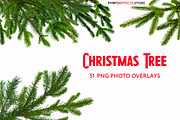 51 Christmas Tree Branch Clipart