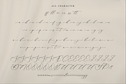 Gladioss Feather Luxury Script Font, a Script Font by Storytype Studio (Thumbnail 14 of 15)