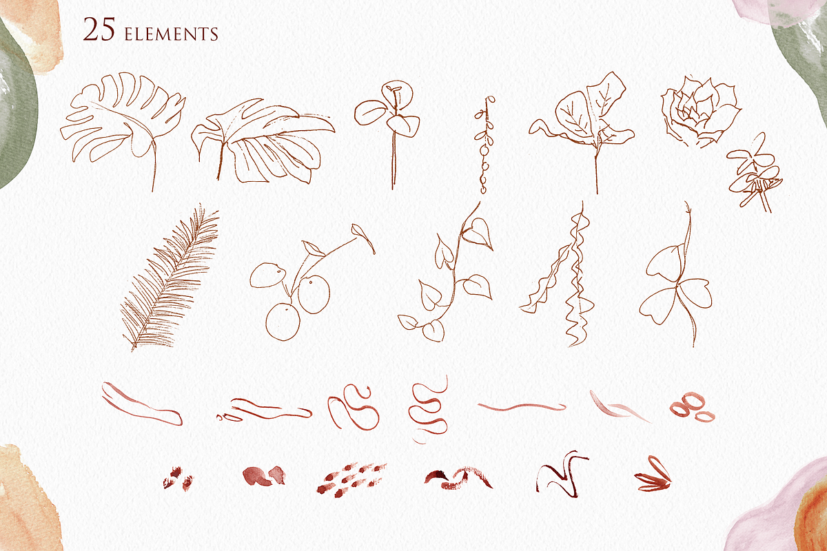 Houseplant Botanical Alphabet Letter, an Illustration by Cacacolors Clipart (Photo 4 of 4)