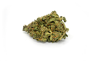 Cannabis marijuana weed close up