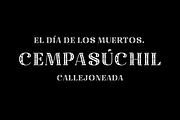 Carica Font, a Serif Font by TypeThis!Studio (Thumbnail 9 of 9)
