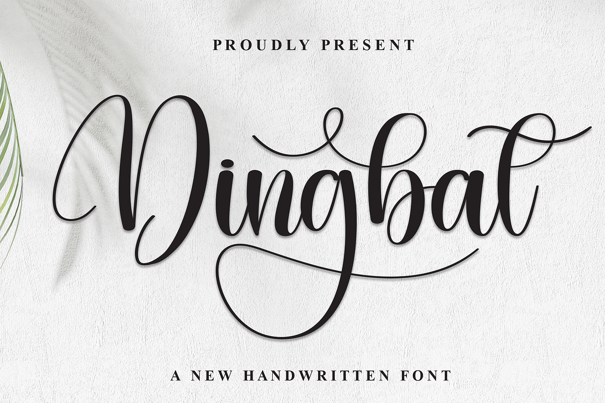 Dingbat | Script Font, a Handwritten Font by Scratchones (Photo 1 of 9)