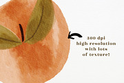 Peaches and Sage watercolor clipart, a Pattern Graphic by Bridgett Stahlman Design (Thumbnail 8 of 9)
