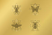 16 Insect symbols and 4 Patterns, an Outline Icon by Anna Smirnova (Thumbnail 4 of 12)
