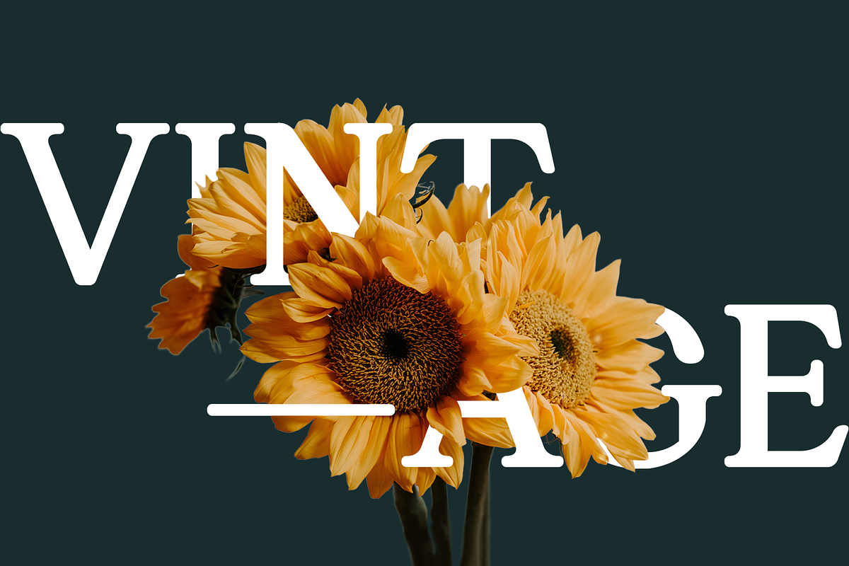 Gandia - Display Serif Typeface, a Font by Jehoo Creative (Photo 2 of 10)