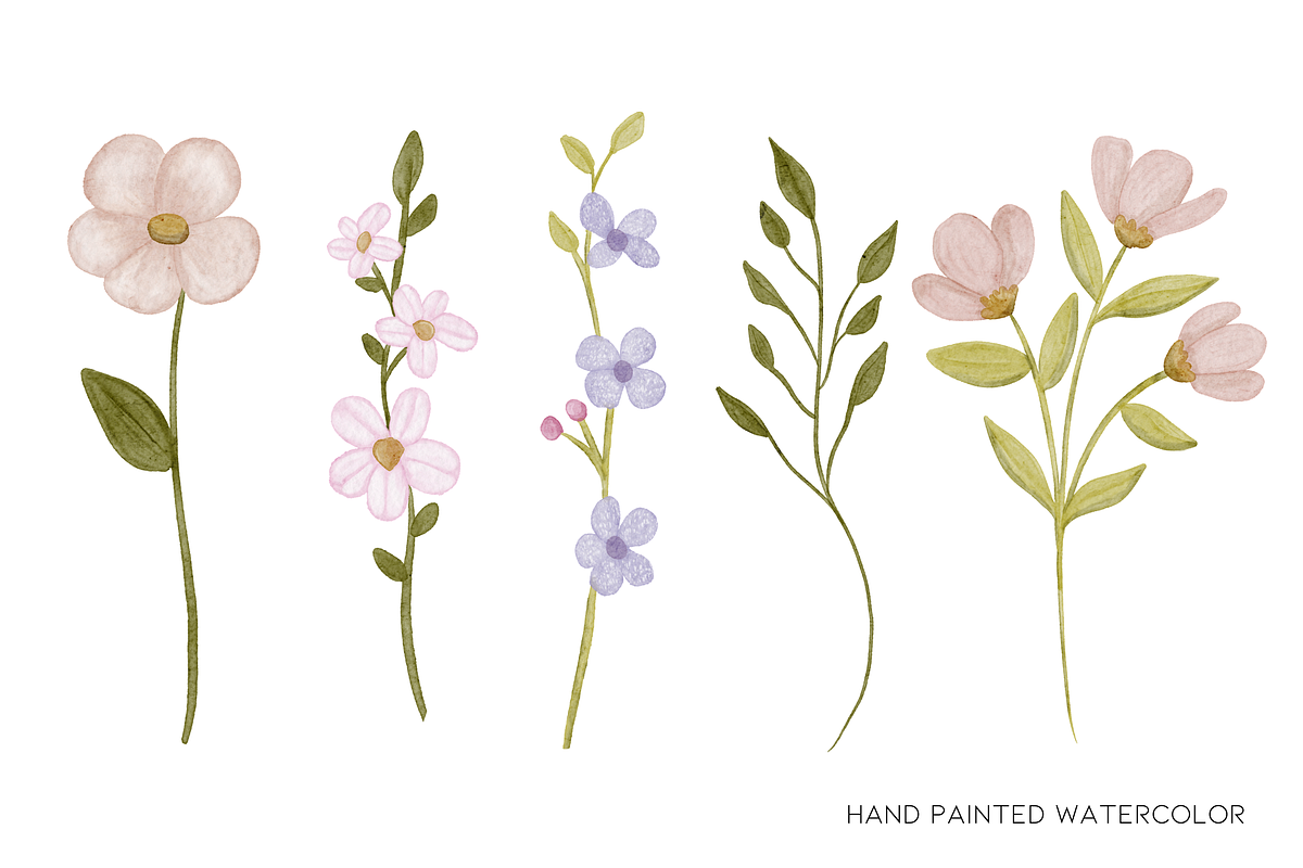 Watercolor Wild Flower Clipart, a Decorative Illustration by Murphy & Frank (Photo 2 of 9)